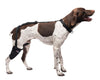 Medium Short Stifle Pet Therapy Wrap